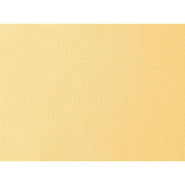 Papier-Tischset 30 x 40 cm Cream, 1500 Stk/Krt (3 x 500 Stk)