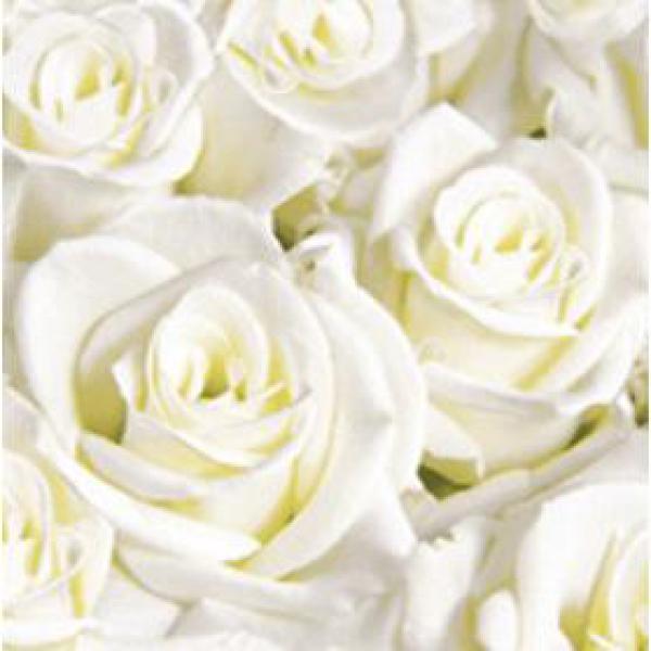 Dunisoft®-Serviette 40 x 40 cm White Dreams, 720 Stk/Krt (12 x 60 Stk)