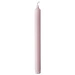 Kerzen 250 x Ø 22 mm 9 Std. Mellow Rose, 48 Stk/Krt (12 x 4 Stk)