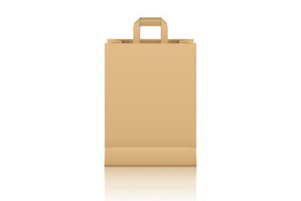 Kraft Papiertasche 26x17x29cm  