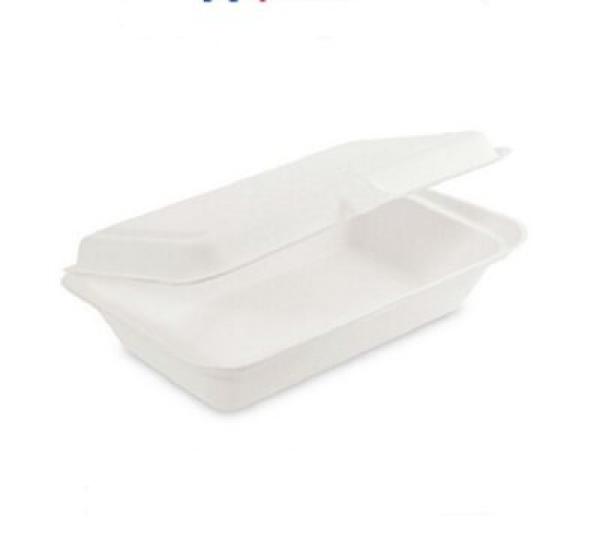 Zuckerrohr Menübox, 1-teilig, 25 x 15 cm - 600 Stück