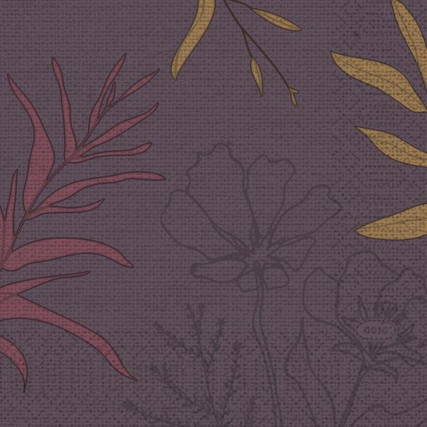 Tissue-Serviette 24 x 24 cm Soft Nature 3-lagig, 1000 Stk/Krt (20 x 50 Stk)