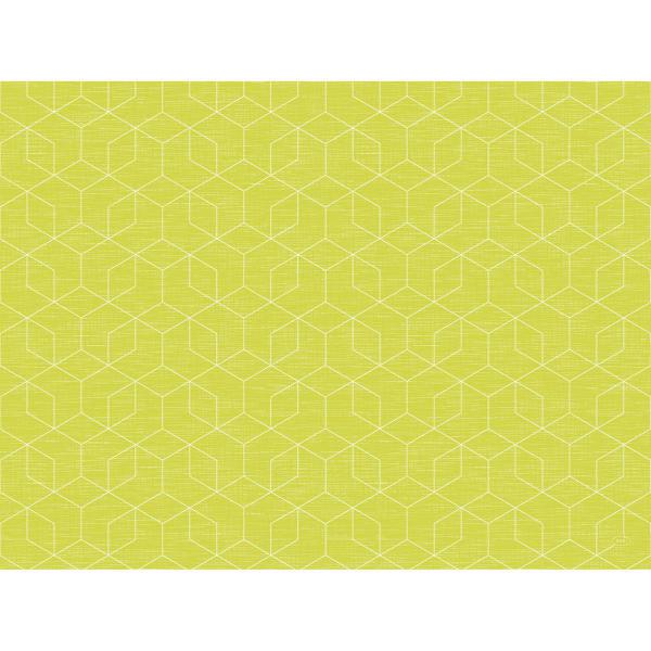 Bio Dunicel®-Tischset 30 x 40 cm Graphics Kiwi, 500 Stk/Krt (5 x 100 Stk)