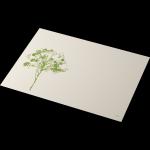 Bio Dunicel®-Tischset 30 x 40 cm Green Umbles, 500 Stk/Krt (5 x 100 Stk)