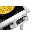 Induktionskocher 2P 50-1 TCK