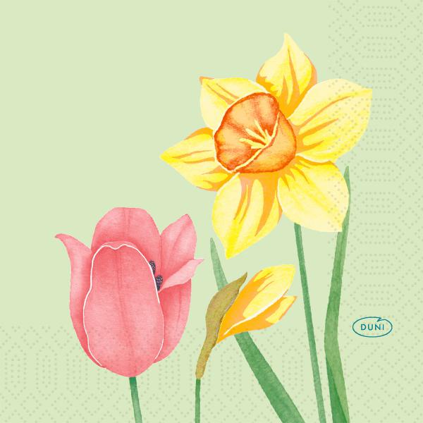 Tissue-Serviette 24 x 24 cm Spring Melody 3-lagig