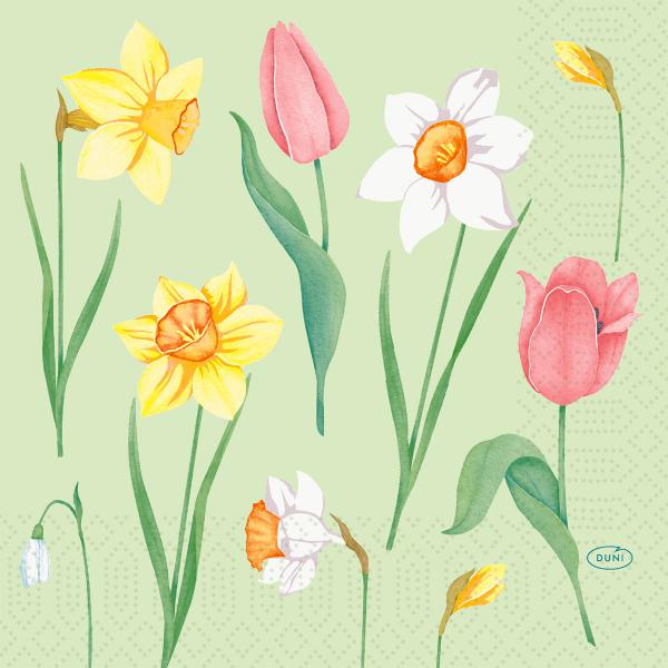 Tissue-Serviette 33 x 33 cm Spring Melody 3-lagig