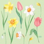 Tissue-Serviette 33 x 33 cm Spring Melody 3-lagig