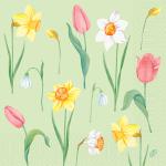 Tissue-Serviette 40 x 40 cm Spring Melody 3-lagig