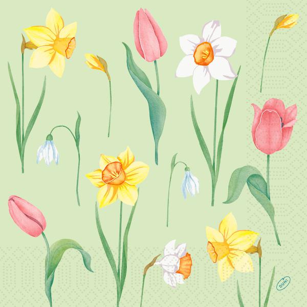 Tissue-Serviette 40 x 40 cm Spring Melody 3-lagig