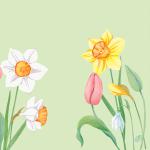 Tissue-Serviette 40 x 40 cm Spring Melody