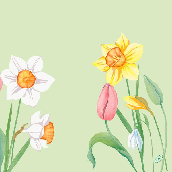 Tissue-Serviette 40 x 40 cm Spring Melody