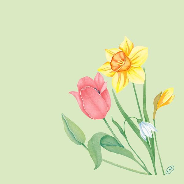Bio Dunisoft® Serviette 40 x 40 cm Spring Melody