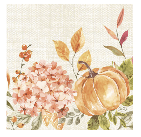 Tissue-Serviette 33 x 33 cm Spicy Pumpkin 3-lagig, 500 Stk. (10 x 50 Stk.)