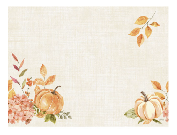 Bio Dunicel®-Tischset 30 x 40 cm Spicy Pumpkin, 500 Stk. (5 x 100 Stk.)