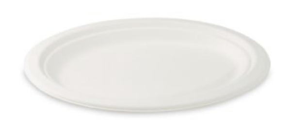 Teller (Zuckerrohr-Bagasse) oval 26 x 20 cm [50 St.]
